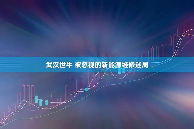 武汉世牛 被忽视的新能源维修迷局