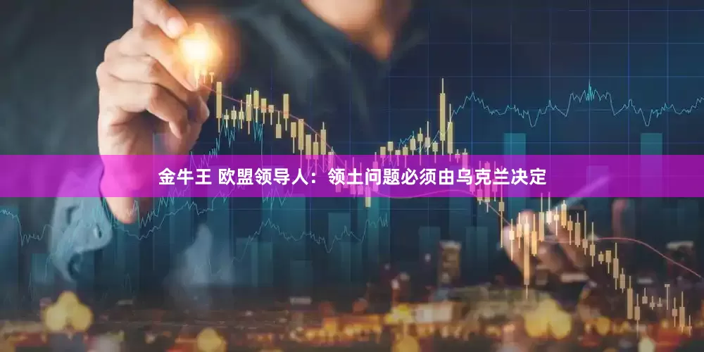 金牛王 欧盟领导人：领土问题必须由乌克兰决定